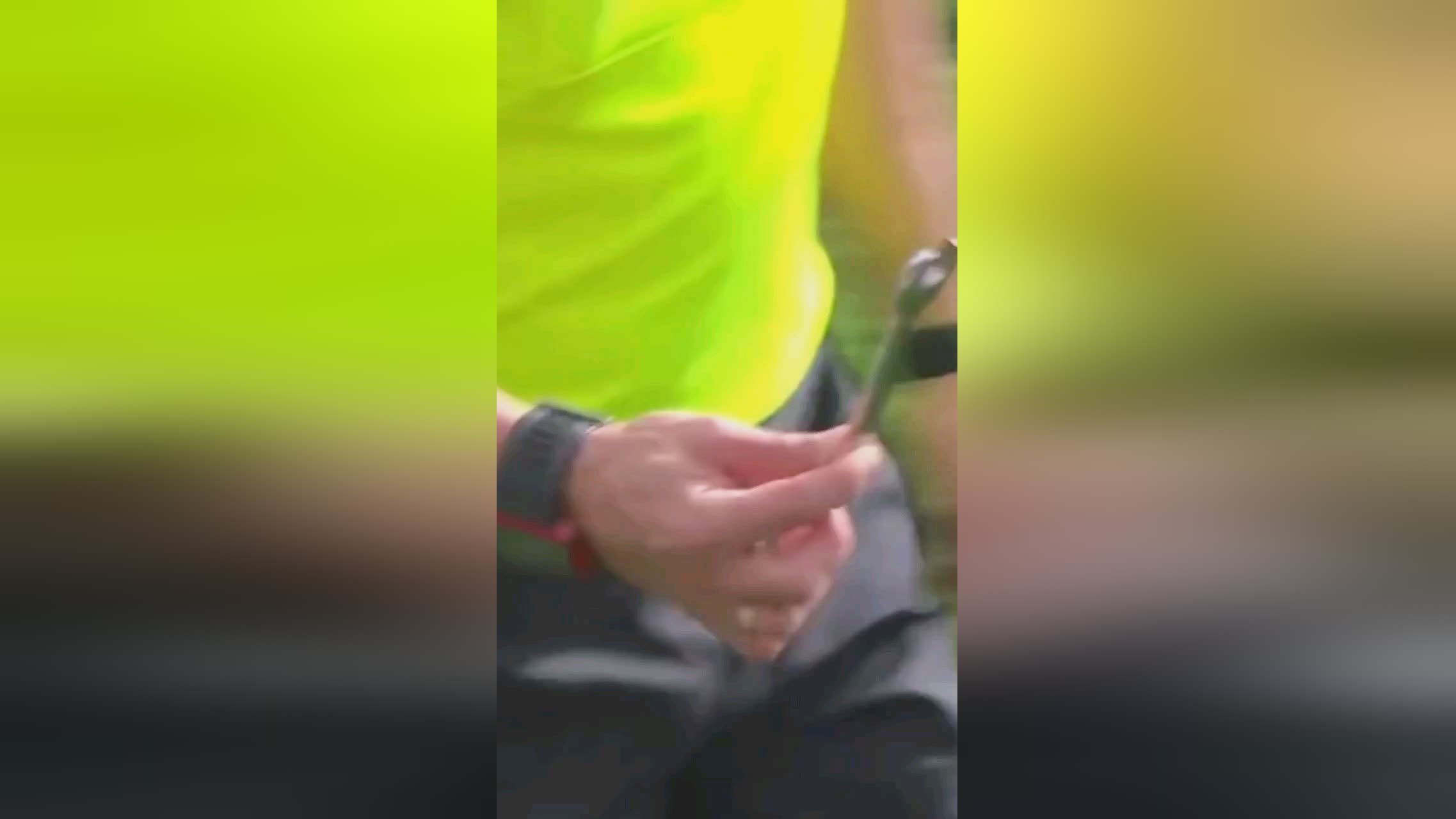 身高只是